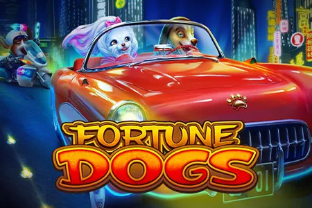 Fortune Dogs
